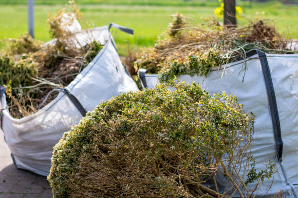 Best Household Junk Removal  in Delavan, IL